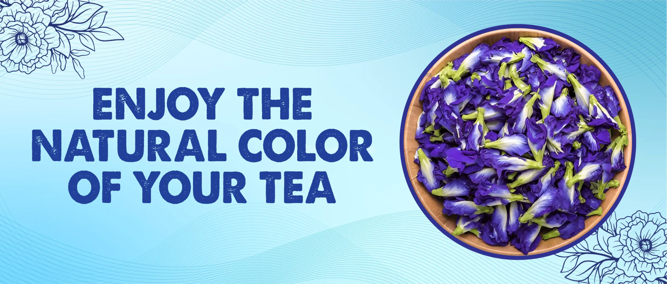 TEATRAK Butterfly Pea Tea