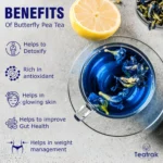 TEATRAK Butterfly Pea Flower Tea