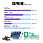 TEATRAK Butterfly Pea Flower Tea
